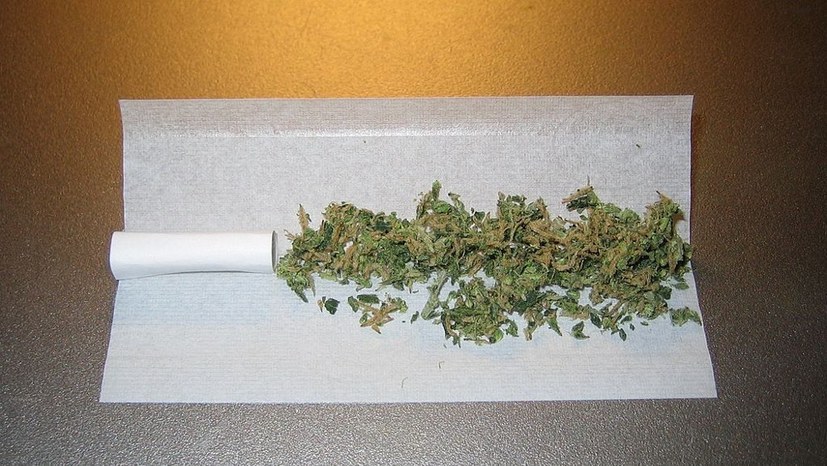 You are currently viewing Cannabis-Debatte – Die Lüge vom „Jugendschutz“ durch die Legalisierung
