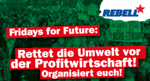 Read more about the article Heraus zum Fridays for Future Aktionstag!