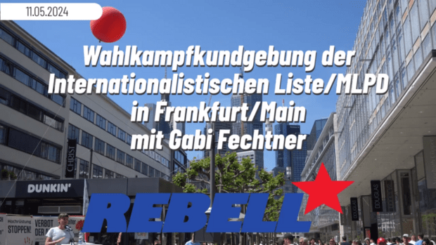 Interview mit Gabi Fechtner zur Europawahl 2024