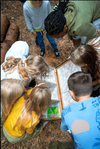 Info an Eltern des Kindercamps