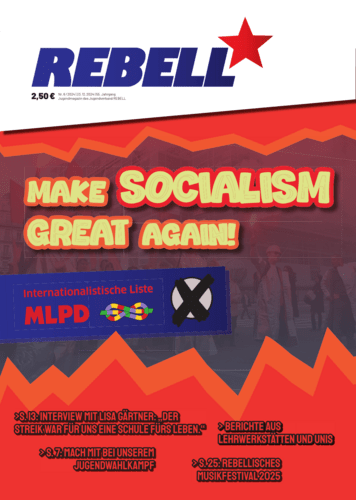 Make Socialism Great Again!