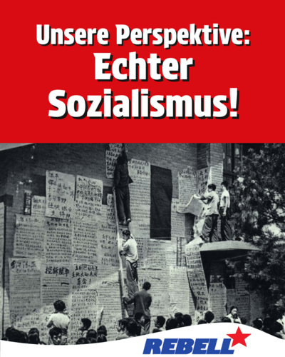 Unsere Perspektive: Echter Sozialismus!