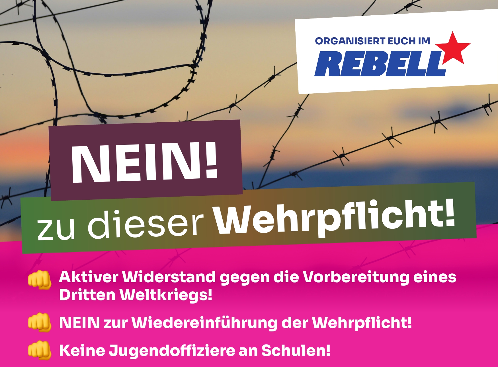 Flugblatt für Schulstreik gegen die Wehrpflicht am 5.12.